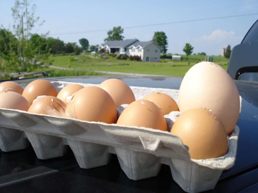 Living Loving Local for April is Eggs!