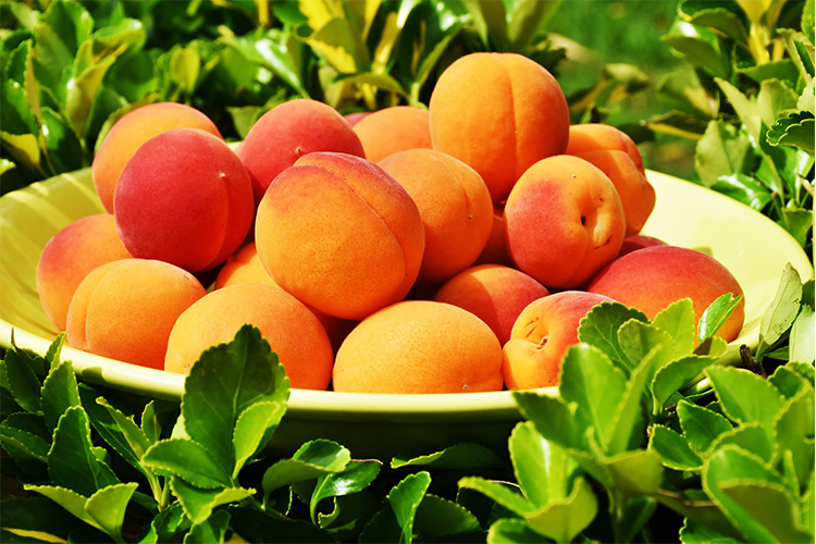 Living Loving Local for August: Peaches