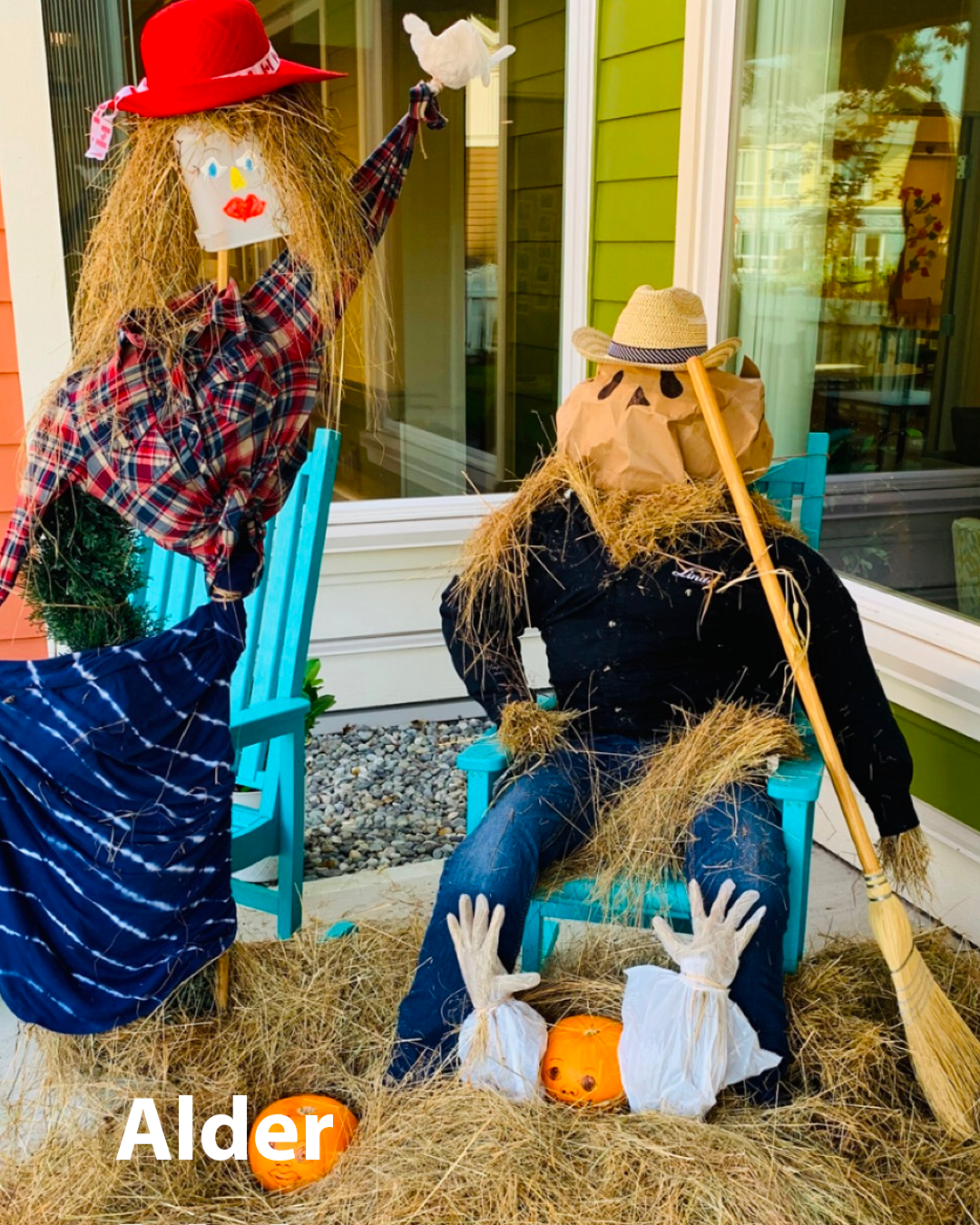 scarecrow at the village