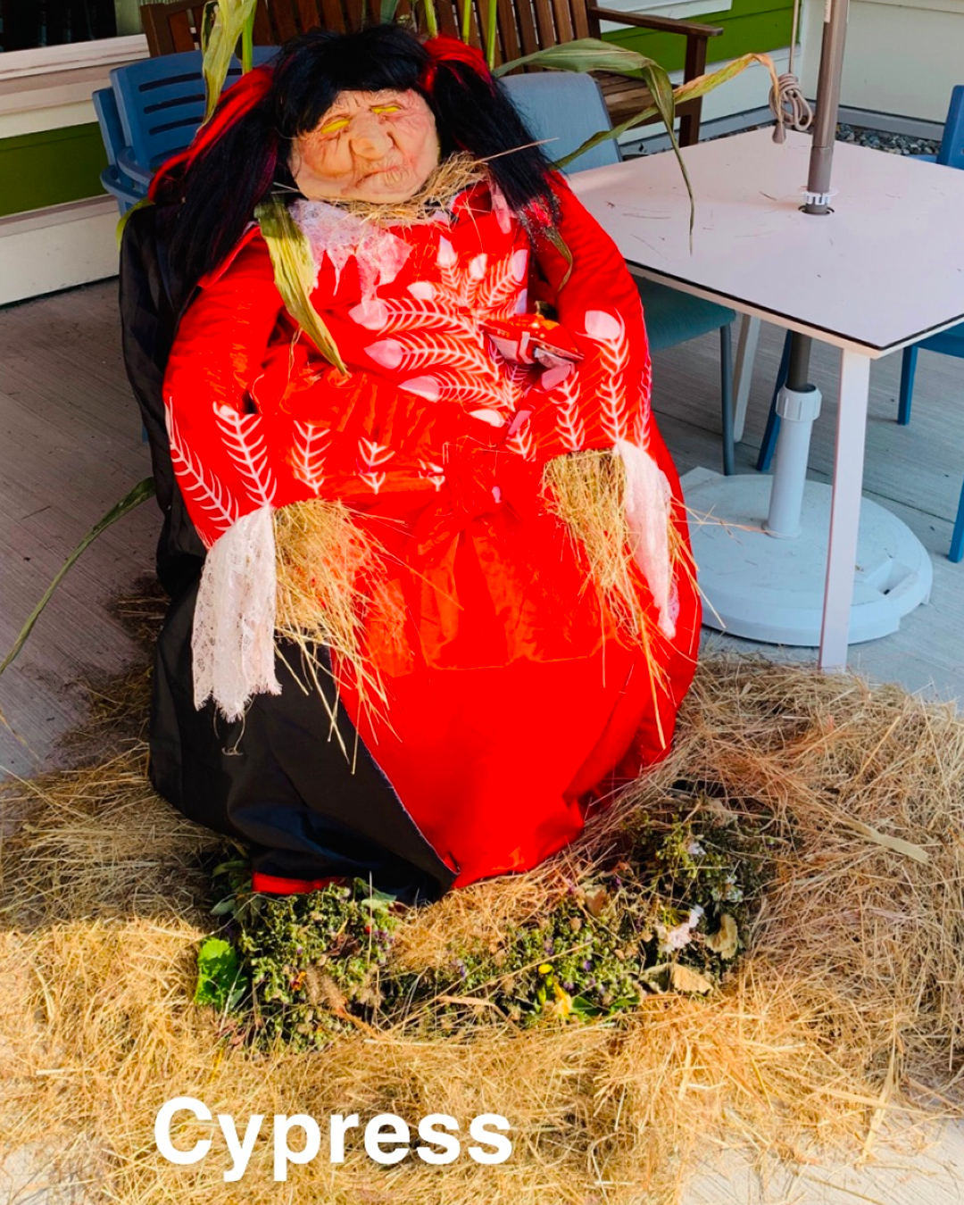 scarecrow at the village