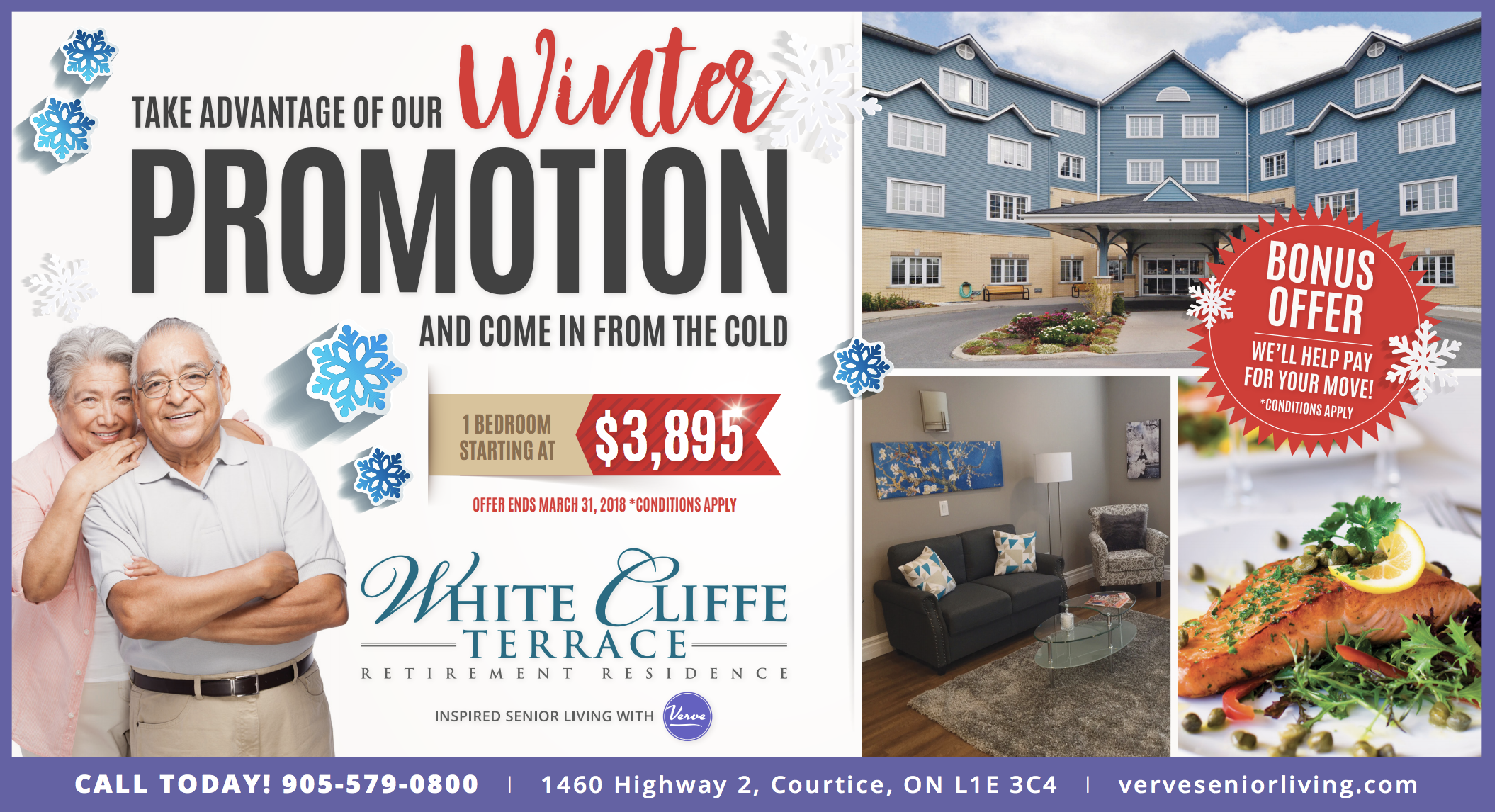White Cliffe Terrace Winter Motion Incentive